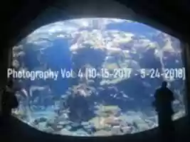 Free download Photography Vol. 4 [10-15-2017 - 5-24-2018] free photo or picture to be edited with GIMP online image editor